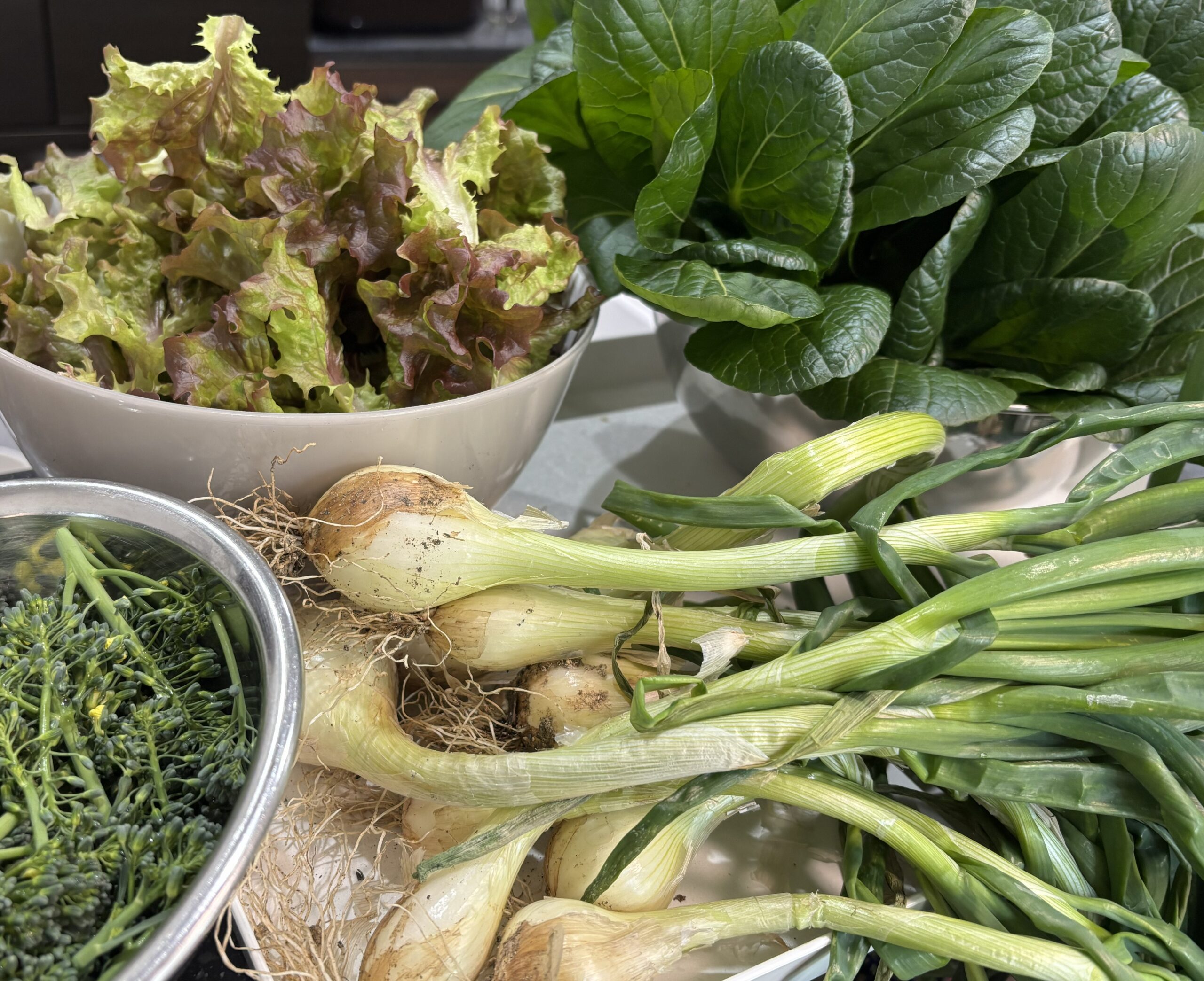 3月 エシャロット 小松菜 菜の花 サニーレタス